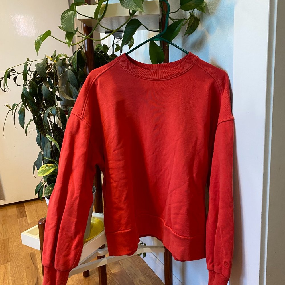 Everlane Sweatshirt